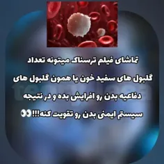 تئوری