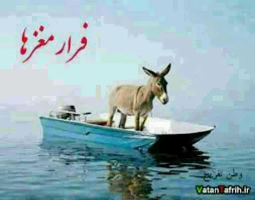 فرار مغز ها