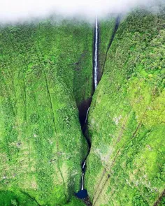 آبشار کاهیوا در هاوایی که تقریبا 660 متر ارتفاع داره، قسم