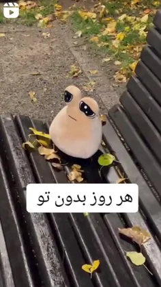 چه غمه کیوتیه........