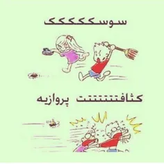 موردم از خنده