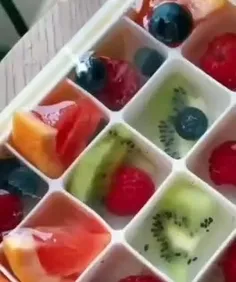 یخ میوه ای کیوت