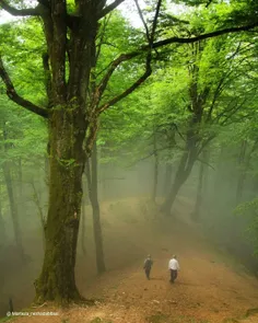 Iran,gilan,