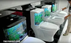 توالت با آکواریوم و ماهی های زنده به سیستم تصفیه قدرتمند 