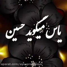 "السلام علیک یا ابا عبدالله الحسین"🖤✨️