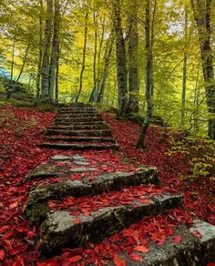 بولی، ترکیه | Bolu,Turkey