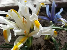 این عکسو خودم گرفتم