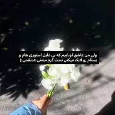 قربونتون بشم من مرسی که لایک و فالو می کنید🥺🫂💖✨️
