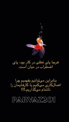 چ کسی می تواند ادعا کند