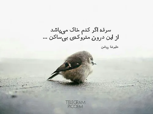 علیرضا روشن