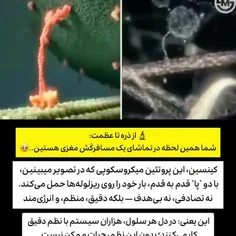 عظمت خدا در خلقت 
