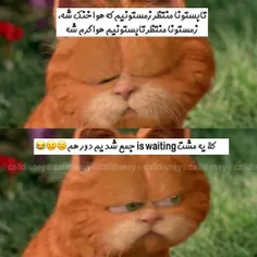 اصن ٻہ وضٻہ😑 دردمون چٻہ دقٻقاً؟!😂 👐  