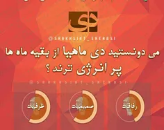 دی