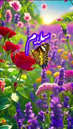 سلام به روی ماهتون 🙋‍♀️صبح همگی بخیرو شادی👌🥰