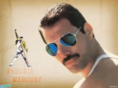 FREDDIE