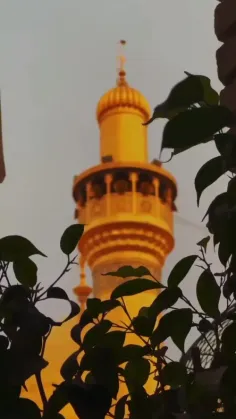 تولد‌تون مبارک بابا علی (ع) 💚🌱