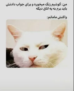 جرر دقیقا 😐😂😂