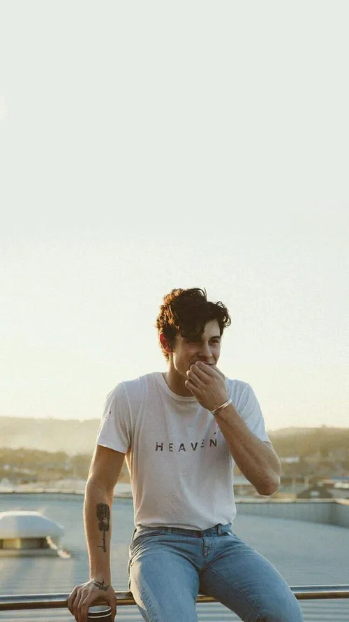 shawn mendes