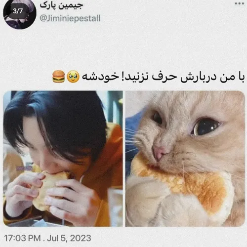 خود خودشه !😺😺