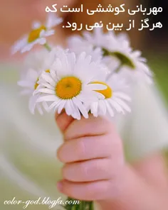 مهربآن باشیم....