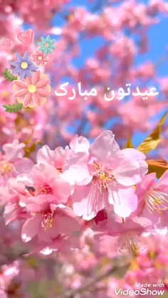 #بهارانه🌼🌱