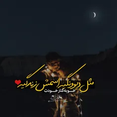 رضا صادقی 