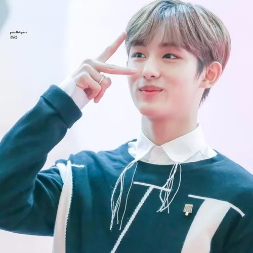 |🐚 🍄 | Winwin