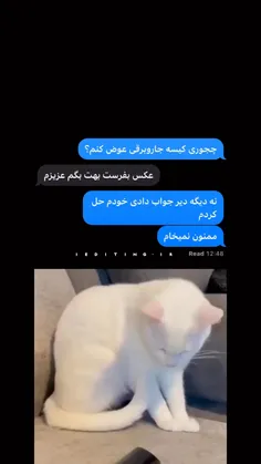 من خودم از پس کارام بر میام ...