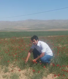 طبیعت زیبای روستای نوده