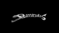 🌍 استودیوی انیمیشن فرانسوی Barracudas چنین کارتونی را ساخ
