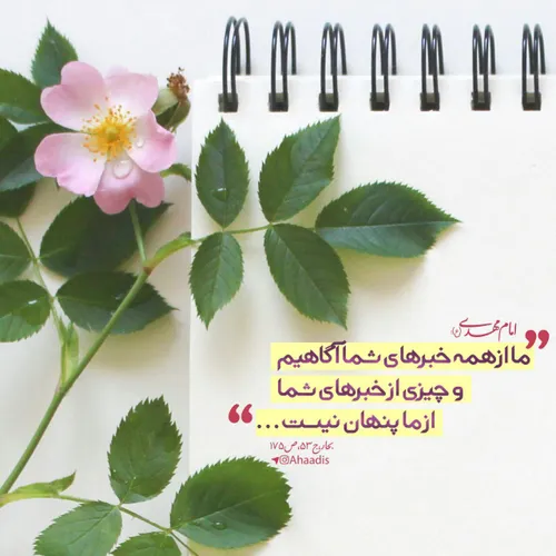 🌹حدیث حضرت ولیعصر امام مهدی(عج)🌹