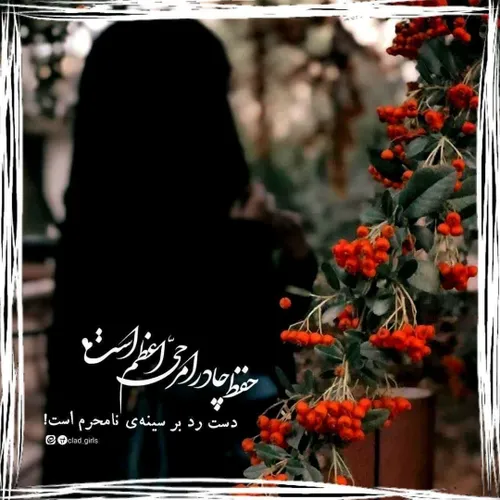 🌸اللّهُمَّ نَوِّر قُلُوبَنا بِالْقُرآن🌸