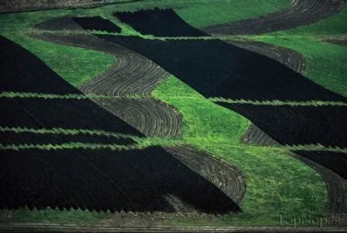 عکس های هوایی از مزارع کشاورزی (7)
