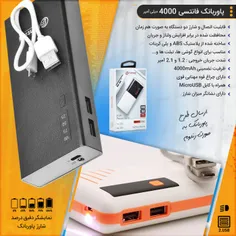 پاوربانک فانتسی (ظرفیت تضمینی 4000)