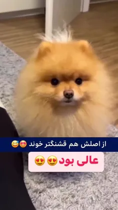 چیکو بوقی 😂😂😂😍😍 