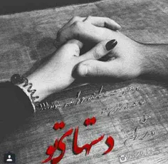دستهای تنها  طنابی بود که مرا در عشق بالا کشید .....محمدم