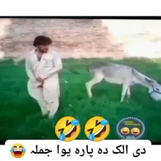 براش یک جملہ بنویس خخخخخخخ