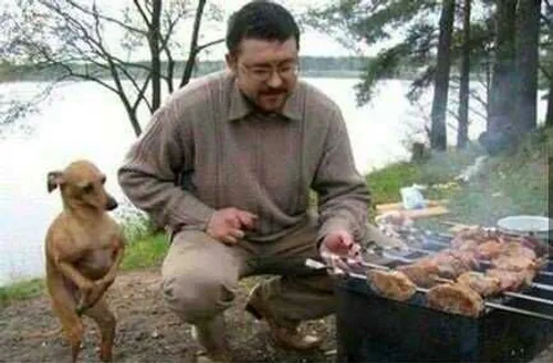 قیافه ی سگ رو ببین چه باحاله ههههه