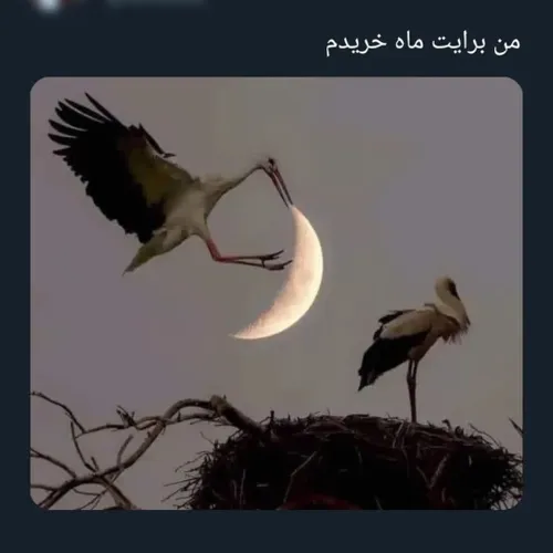 چه قشنگ ...