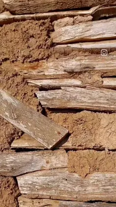 زندگی ویرانگر خاطره هاست 