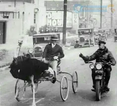 تصویر جالب از لس آنجلس  سال ۱۹۳۰ ... پلیس یک ارابه که توس