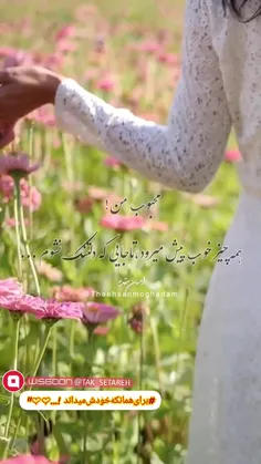 مےسرایم "تو و چشمان تو را"