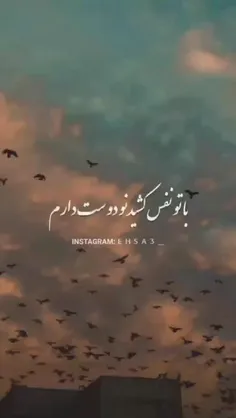 باا تووووو🧚‍♂️