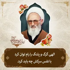 الهی گرگ و پلنگ را توان رام کرد
با نفس سرکش چه باید کرد
سخنان ناب علامه حسن‌زاده آملی ره