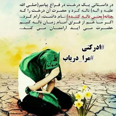 گر پرده ز رخ باز نماید مهدی