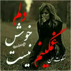 دل سـاده داشــتــن 