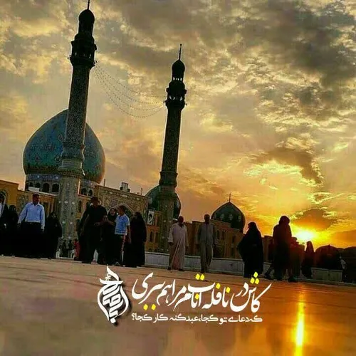 🌼 یا بن الحسن...❤ ️ سه.شنبه شد و پَر زدم سویِ تو