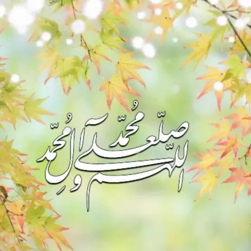 ‍ 🍃🍁آخرین چهارشنبه آبان ماه پُر نور✨