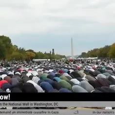 کاخ سفید مسجد شد . نماز جماعت معترضین آمریکایی به جنایت ا