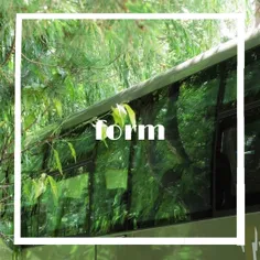 form | daylight